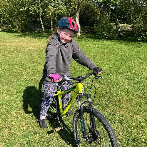 Ginst - mountain biking