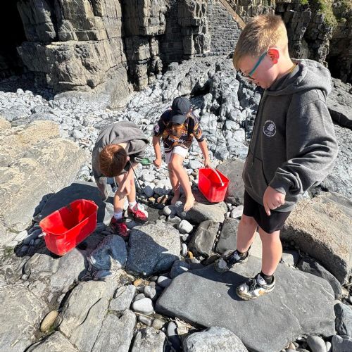 Dale and Caldey - Rocky Shore