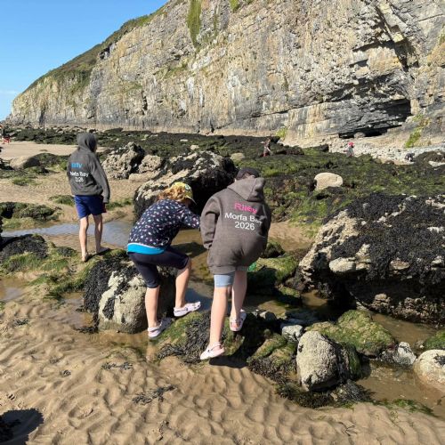 Dale and Caldey - Rocky Shore