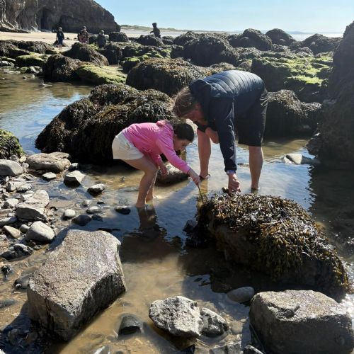 Dale and Caldey - Rocky Shore