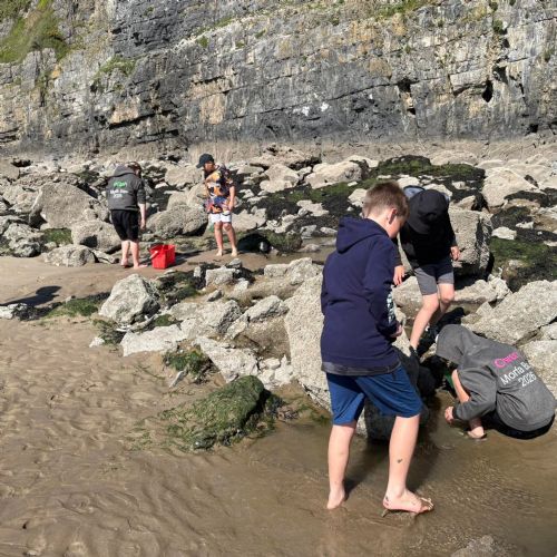 Dale and Caldey - Rocky Shore