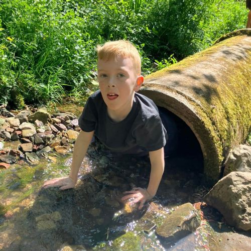 Ginst - assault course