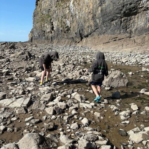 Dale and Caldey - Rocky Shore