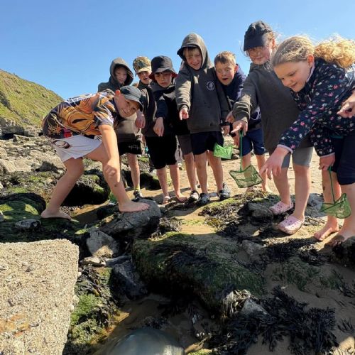 Dale and Caldey - Rocky Shore