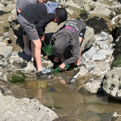 Dale and Caldey - Rocky Shore