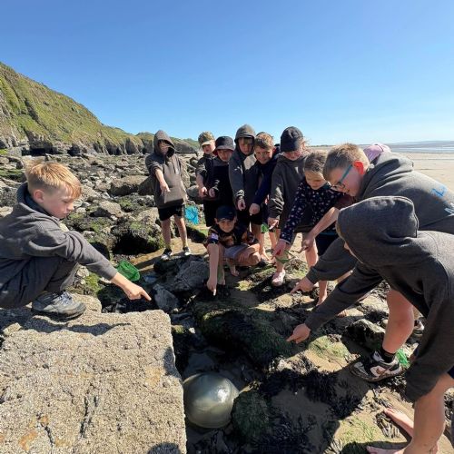 Dale and Caldey - Rocky Shore