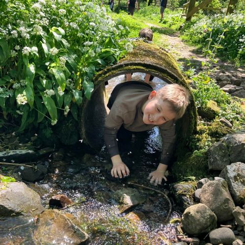 Ginst - assault course