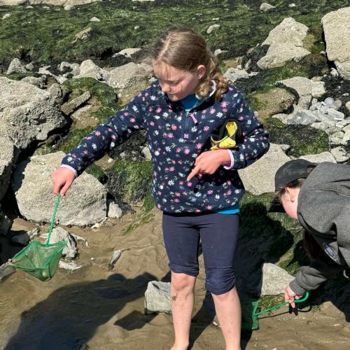 Dale and Caldey - Rocky Shore