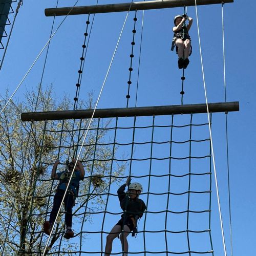 Dale - high ropes