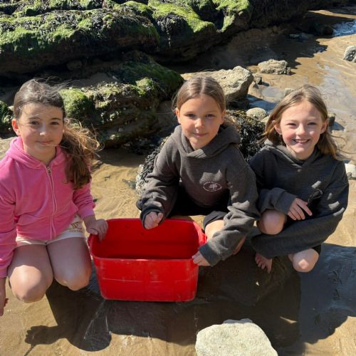 Dale and Caldey - Rocky Shore