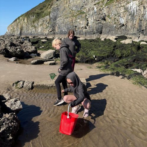 Dale and Caldey - Rocky Shore