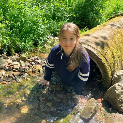 Ginst - assault course