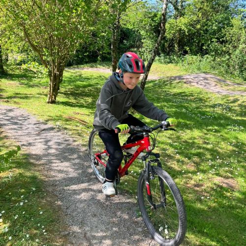 Ginst - mountain biking