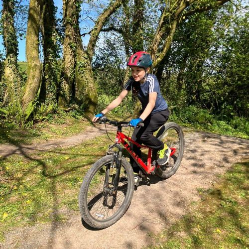 Ginst - mountain biking