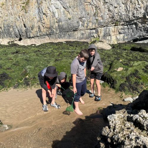 Dale and Caldey - Rocky Shore