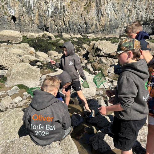 Dale and Caldey - Rocky Shore