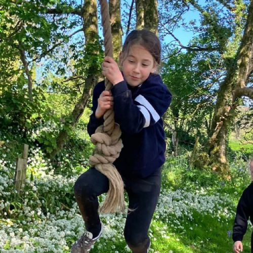 Ginst - assault course