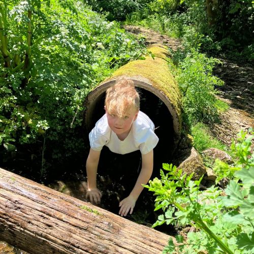 Ginst - assault course