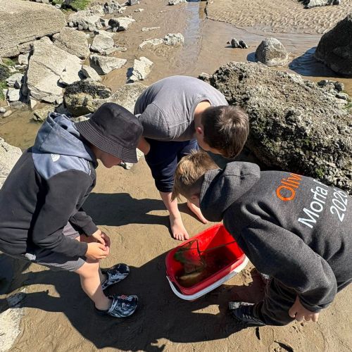 Dale and Caldey - Rocky Shore