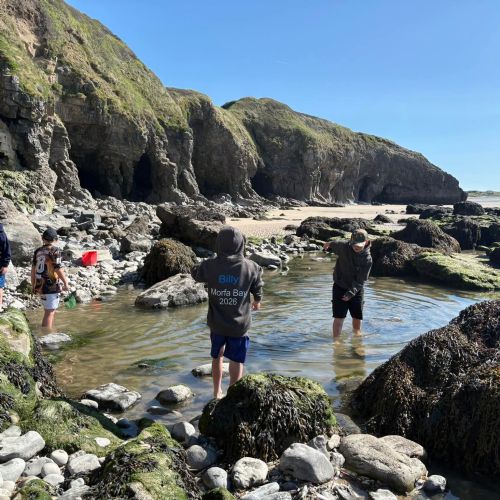 Dale and Caldey - Rocky Shore