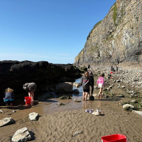 Dale and Caldey - Rocky Shore