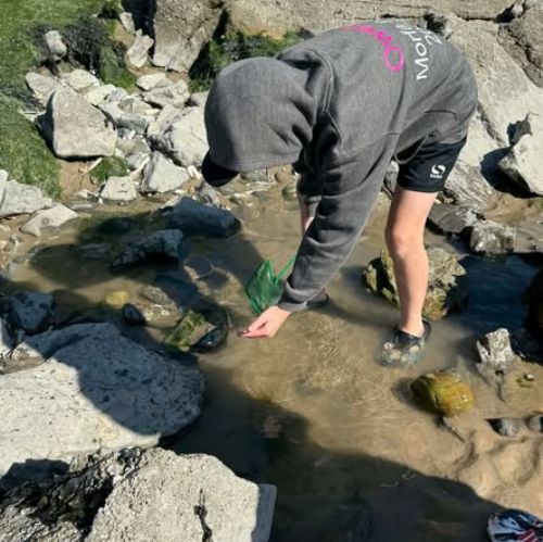 Dale and Caldey - Rocky Shore