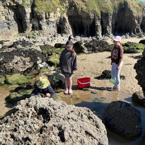 Dale and Caldey - Rocky Shore