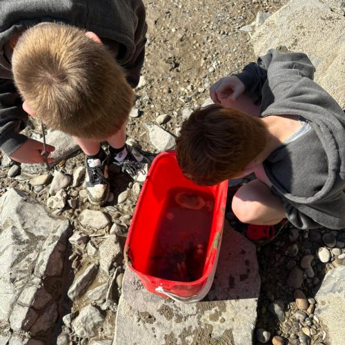 Dale and Caldey - Rocky Shore