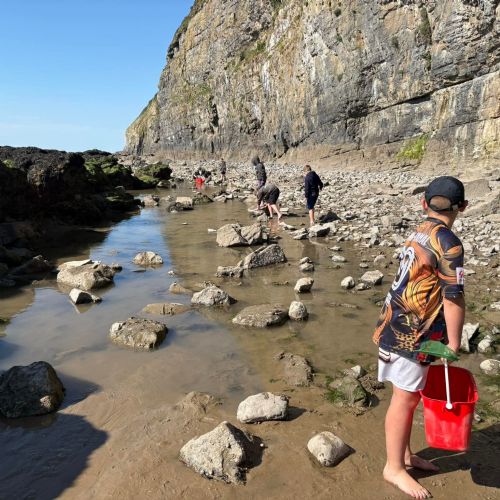 Dale and Caldey - Rocky Shore