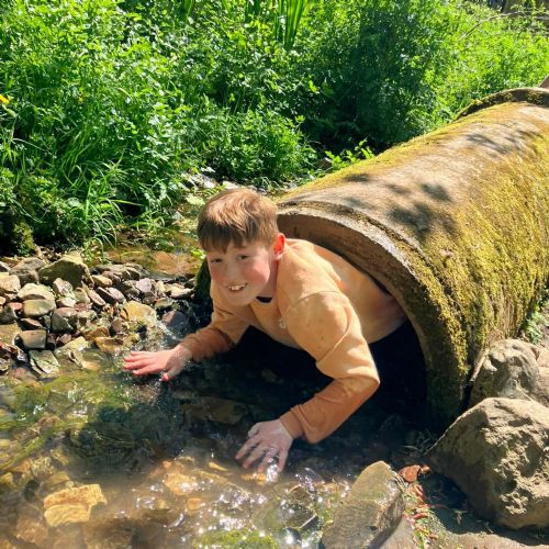 Ginst - assault course