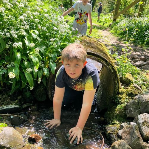 Ginst - assault course