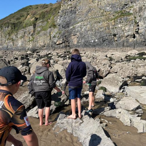 Dale and Caldey - Rocky Shore