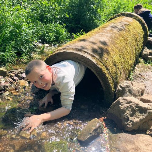 Ginst - assault course