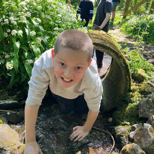 Ginst - assault course