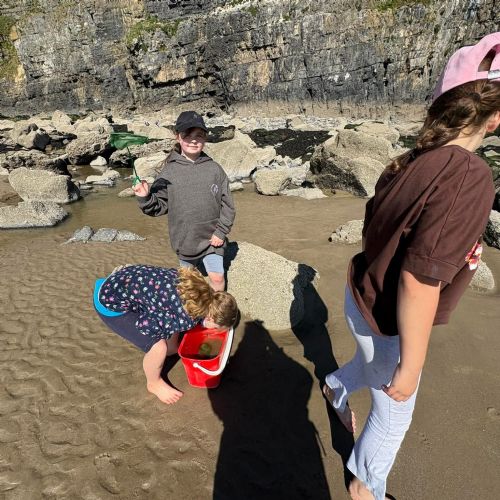 Dale and Caldey - Rocky Shore