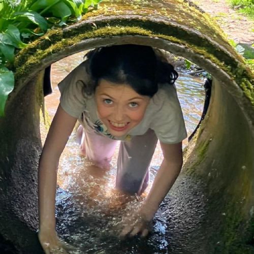 Ginst - assault course