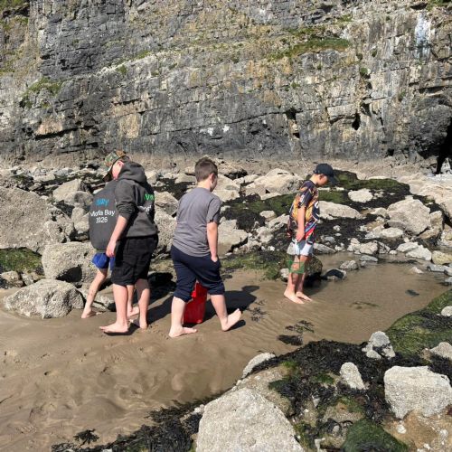 Dale and Caldey - Rocky Shore