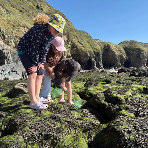 Dale and Caldey - Rocky Shore