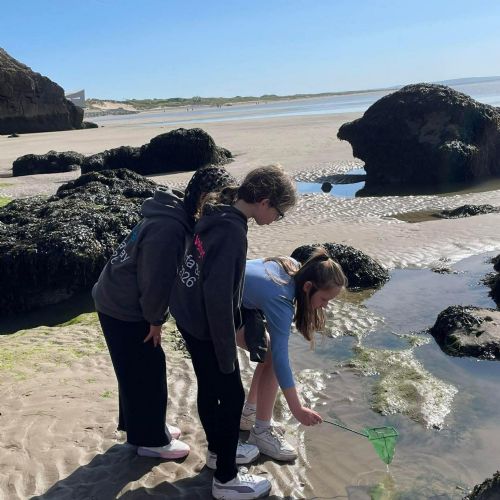 Ginst and Laugharne - rocky shore