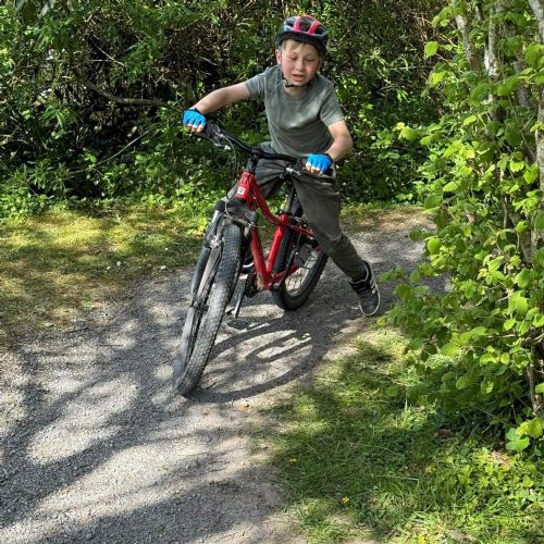 Caldey - mountain biking
