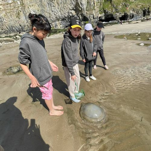 Ginst and Laugharne - rocky shore