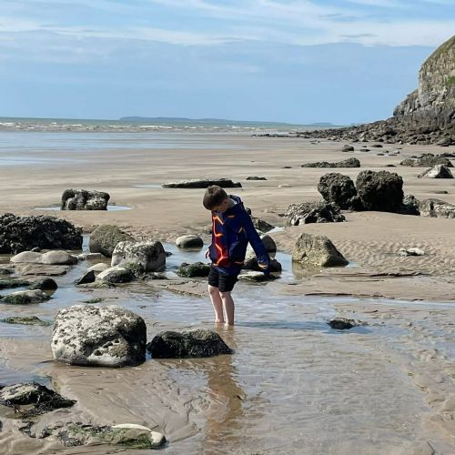 Ginst and Laugharne - rocky shore
