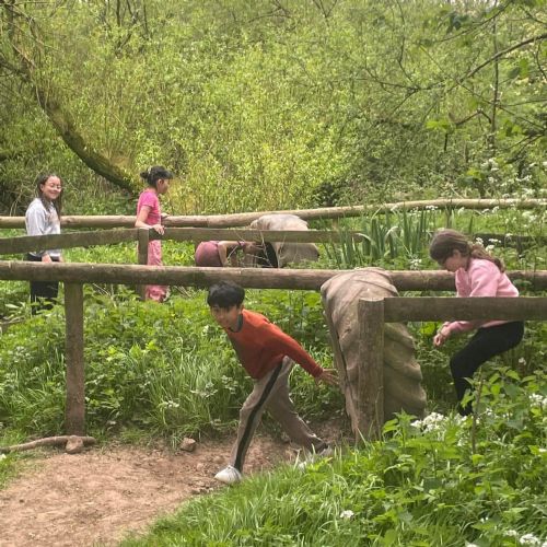 Laugharne - Assault course