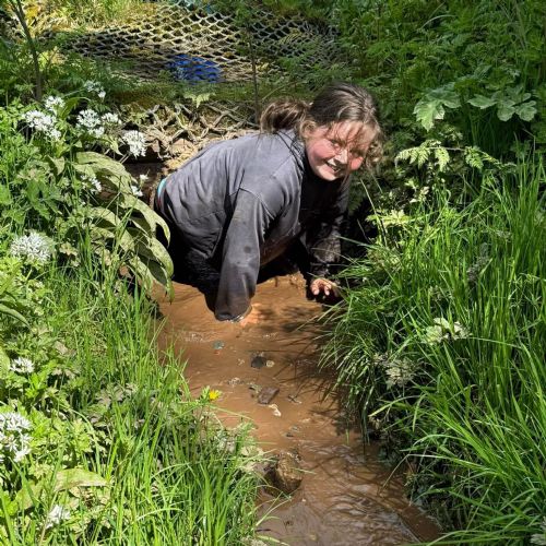 Caldey - assault course