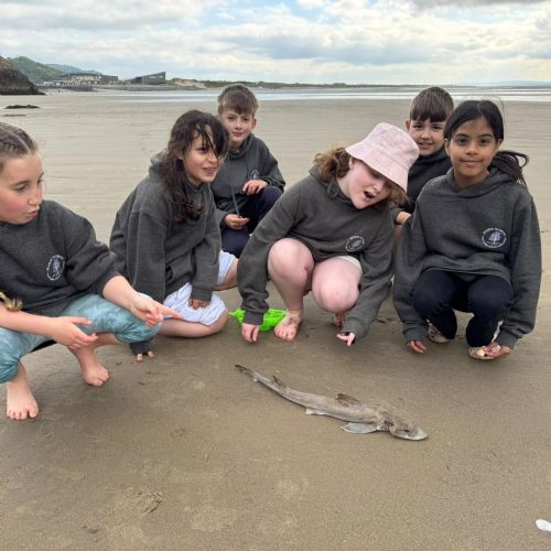 Amroth and Angle - Rocky Shore