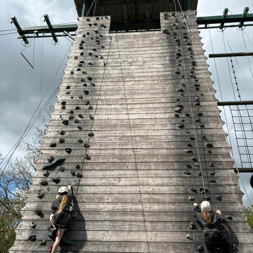 Dale - high ropes